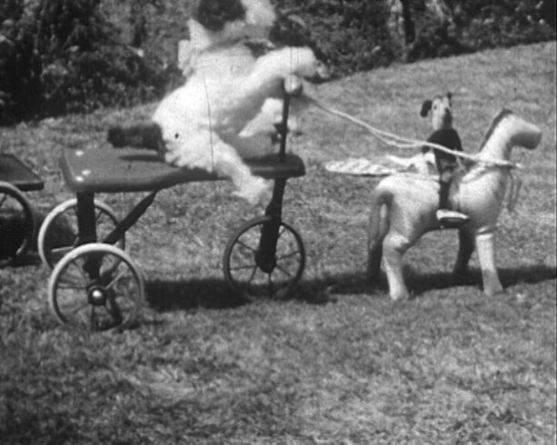 figure 8.1 her second birthday